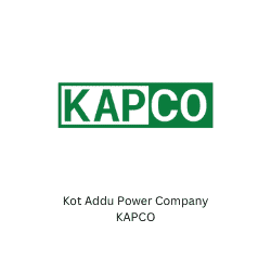 Kot Addu Power Company KAPCO BeeHive Consultants Corporate Training SDGs Faisal Shaikh
